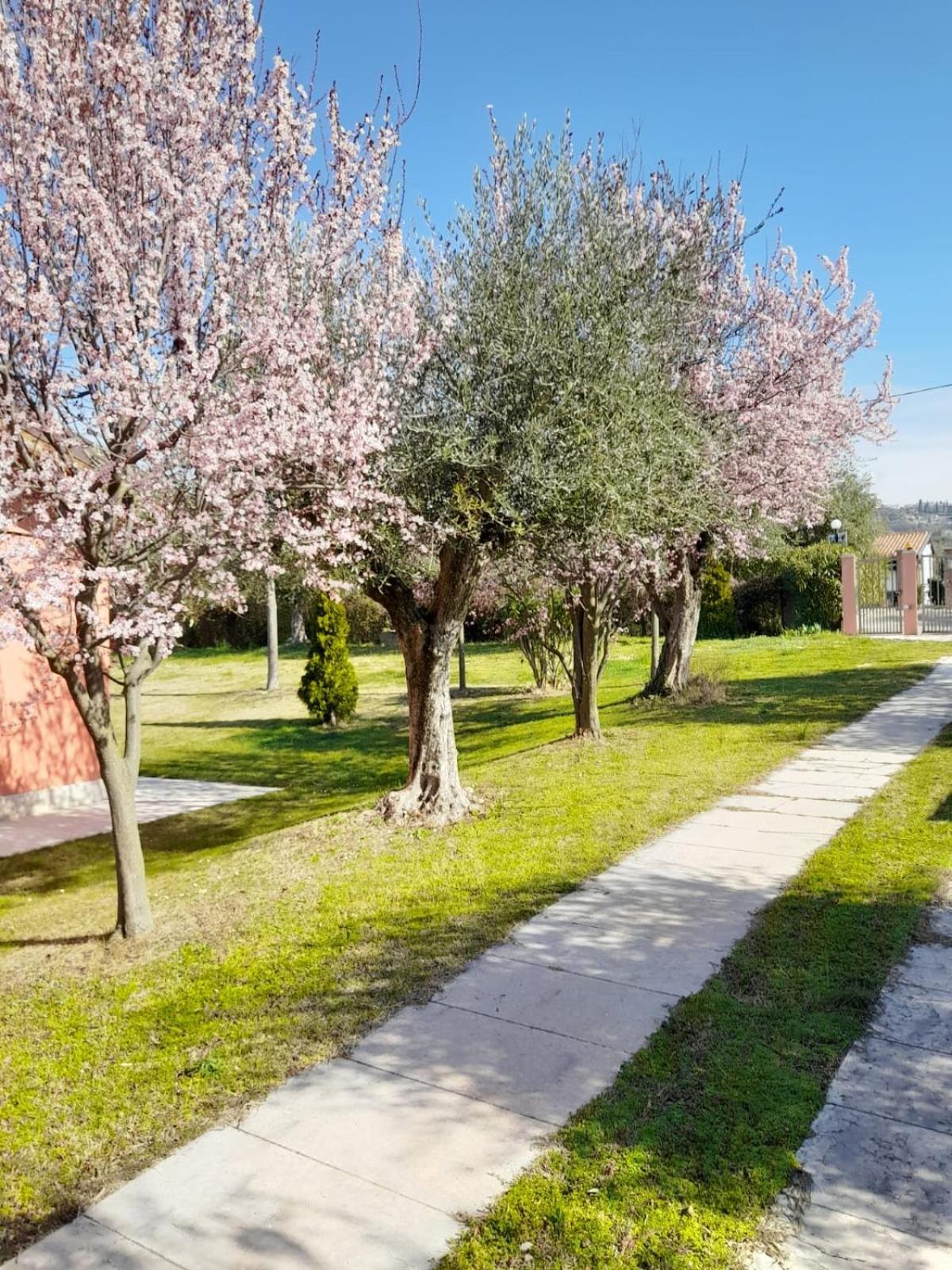 Agriturismo Melograno D'Oro Bardolino Esterno foto